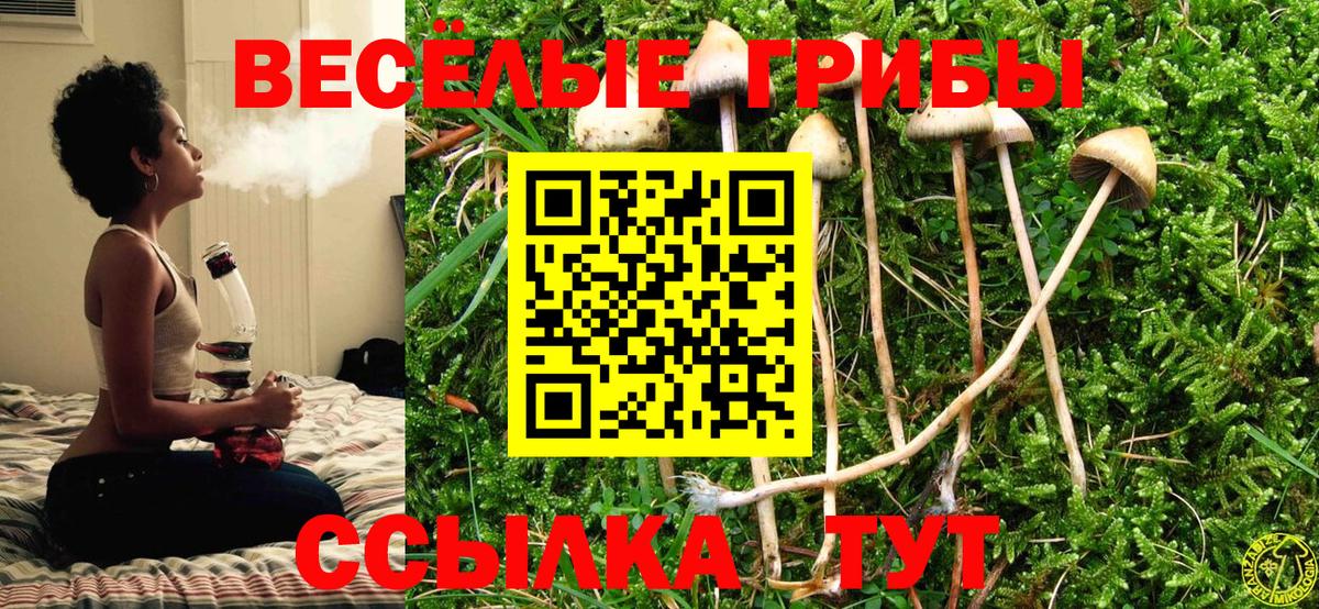 Псилоцибиновые грибы мицелий  где найти   Волгоград  Вход с VPN 