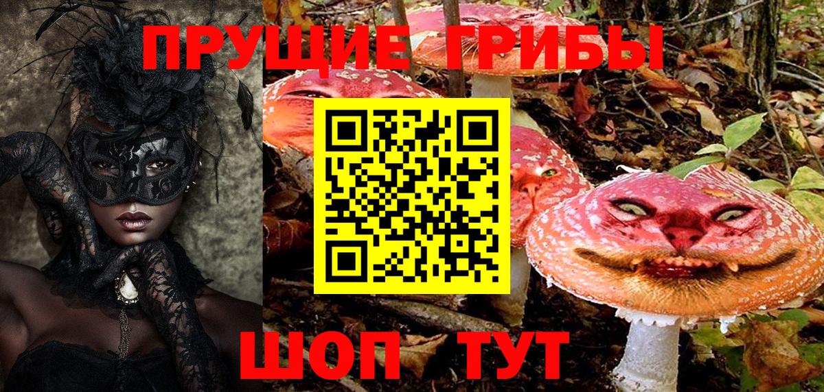 Псилоцибиновые грибы мухоморы Волгоград