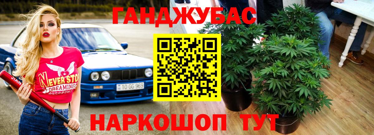 Канабис OG Kush Волгоград